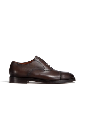 Brown Leather Torino Oxford Shoes