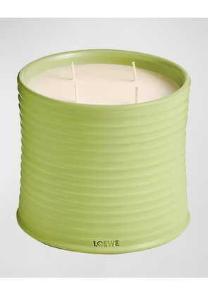 Large Cucumber Candle, 72.1 oz.