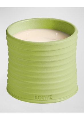 Medium Cucumber Candle, 20.7 oz.