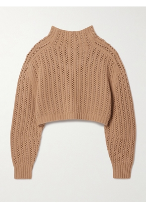 Max Mara - Hodeida Ribbed Pointelle-knit Wool And Cashmere-blend Sweater - Neutrals - x small,small,medium,large,x large
