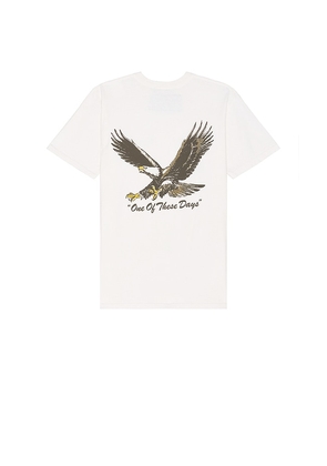 ONE OF THESE DAYS Screaming Eagle Tee in Cream. Size M, XL/1X.