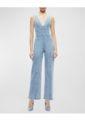 Sandra Deep V-Neck Denim Jumpsuit