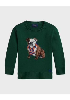 Boy's Bulldog Intarsia Knit Sweater, Size S-XL