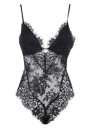 Zimmermann Illustration Lace Teddy