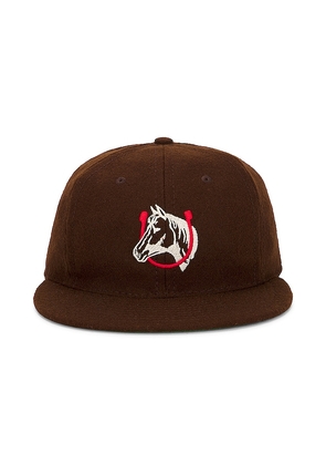 ONE OF THESE DAYS Ebbets Wool Hat in Brown.