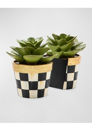 Succulent Bookends