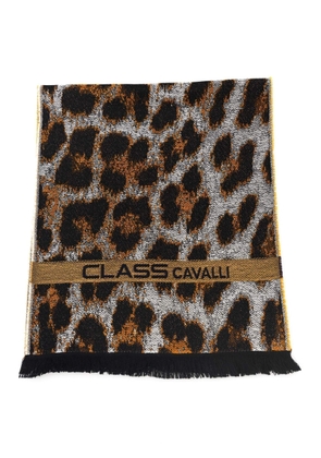 Cavalli Class Brown Wool Scarf