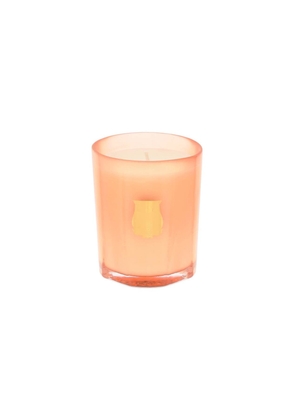 Cire trvdon tuileries scented candle 70 g - OS Orange