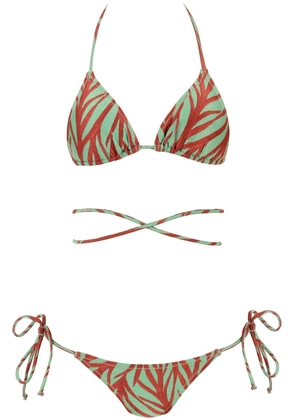 Reina Olga animal print miami bikini set - 1 Gold