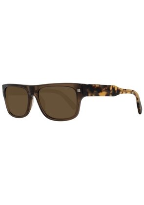 Brown Men Sunglasses