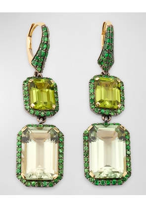 Rain Forest Peridot and Presiolite Emerald Cut Earrings with Tsavorite