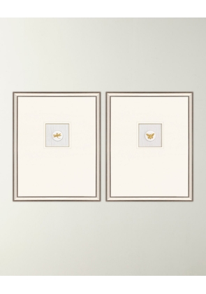 'Insect Intaglio I', Set of 2