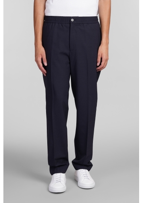 Theory Pants In Blue Wool