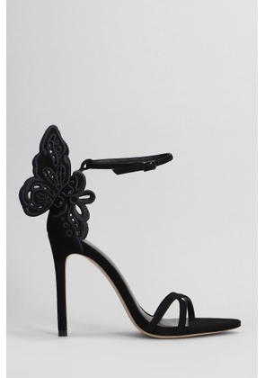 Sophia Webster Chiara Sandals In Black Suede