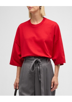 Issi Short-Sleeve Oversized Top