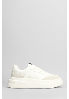 Ash Impuls Bis Sneakers In White Suede And Leather