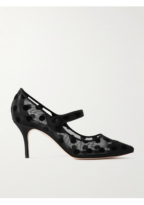 Manolo Blahnik - Campari 70 Grosgrain-trimmed Flocked Mesh Mary Jane Pumps - Black - IT35,IT35.5,IT36,IT36.5,IT37,IT37.5,IT38,IT38.5,IT39,IT39.5,IT40,IT40.5,IT41,IT41.5,IT42