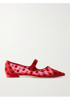 Manolo Blahnik - Campari Grosgrain-trimmed Flocked Mesh Ballet Flats - Red - IT35,IT35.5,IT36,IT36.5,IT37,IT37.5,IT38,IT38.5,IT39,IT39.5,IT40,IT40.5,IT41,IT41.5,IT42,IT43