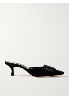 Manolo Blahnik - Maysale 50 Buckled Velvet Mules - Black - IT35,IT36,IT36.5,IT37,IT37.5,IT38,IT38.5,IT39,IT39.5,IT40,IT40.5,IT41,IT41.5,IT42,IT43