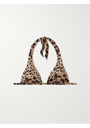 Dolce & Gabbana - Leopard-print Halterneck Bikini Top - Animal print - 1,2,3,4,5