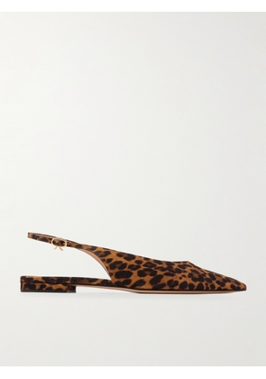 Gianvito Rossi - Robbie Leopard-print Suede Slingback Flats - Animal print - IT35,IT35.5,IT36,IT36.5,IT37,IT37.5,IT38,IT38.5,IT39,IT39.5,IT40,IT40.5,IT41,IT41.5,IT42