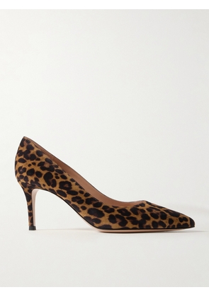 Gianvito Rossi - Gianvito 70 Leopard-print Suede Pumps - Animal print - IT35,IT35.5,IT36,IT36.5,IT37,IT37.5,IT38,IT38.5,IT39,IT39.5,IT40,IT40.5,IT41,IT41.5,IT42