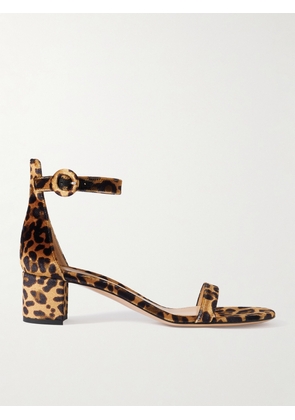Gianvito Rossi - Gaeta 45 Leopard-print Velvet Sandals - Animal print - IT35,IT35.5,IT36,IT36.5,IT37,IT37.5,IT38,IT38.5,IT39,IT39.5,IT40,IT40.5,IT41,IT41.5,IT42