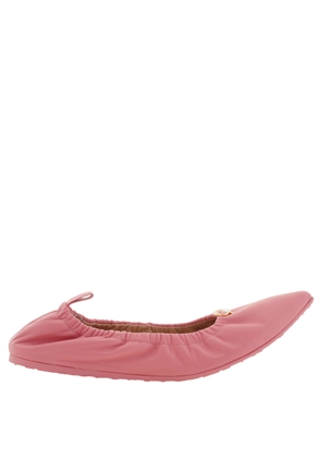 Gianvito Rossi Camellia Alina Ballerina Shoe