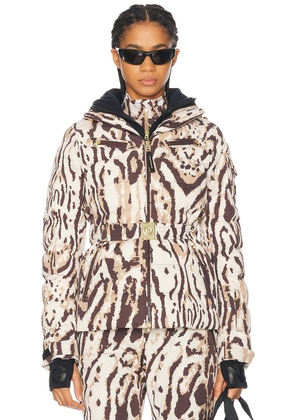 BOGNER Ellya1-t Jacket in Black Coffee - Brown. Size 4 (also in 6, 8).