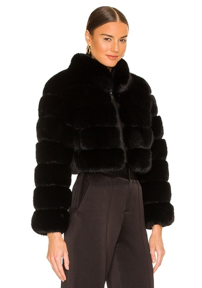 Adrienne Landau Faux Fox Fur Jacket in Jet Black. Size M. Also in L, S.