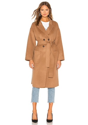 ANINE BING Dylan Coat in Brown. Size L. Also in M.