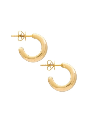 EF COLLECTION Jumbo Dome Hoop Earrings in Metallic Gold.