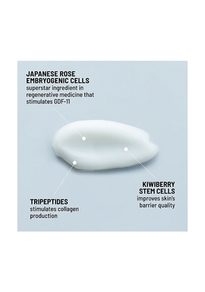 dr. brandt skincare Dare To Age Firming Day Cream in Beauty: NA.