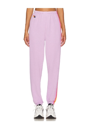 Aviator Nation 5 Stripe Sweatpant in Purple. Size M. Also in L, S.