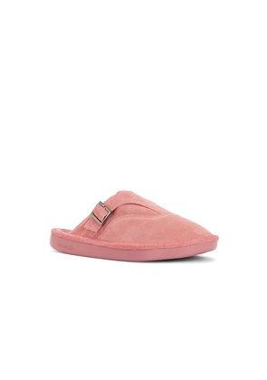 Brunch Amour in Pink. Size 10/10.5. Also in 11/11.5, 12/12.5, 13/13.5.