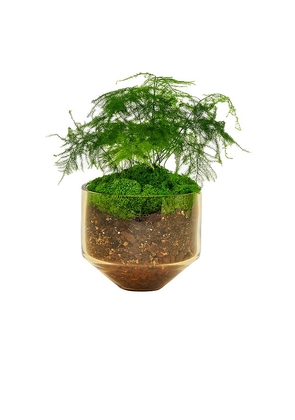 Areaware Model Three Planter in Orange.