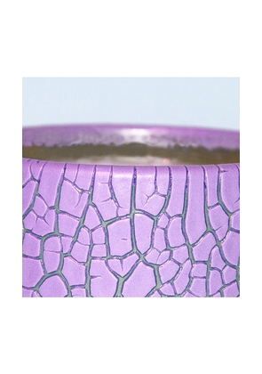 Houseplant Crackle Candle in Purple.