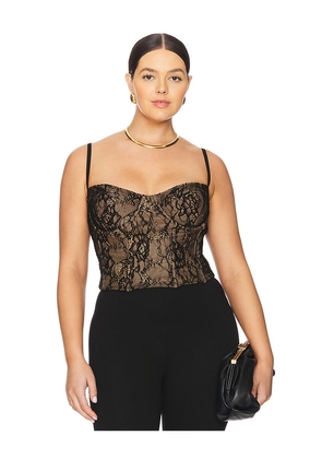 Good American Lace Bustier in Black. Size L. Also in S, XS.