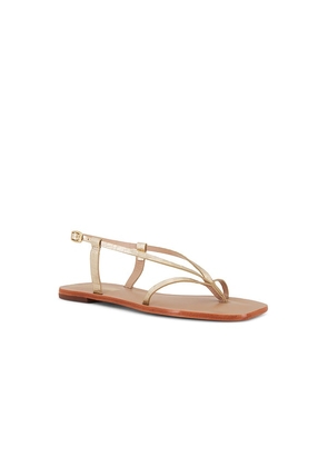 Kaanas Cristobal Sandal in Metallic Gold. Size 10. Also in 11, 5.
