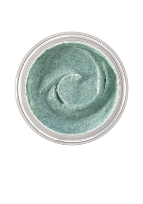 Tracie Martyn Enzyme Exfoliant.
