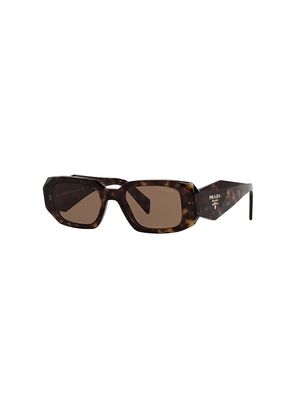 Prada Scultoreo Narrow Sunglasses in Brown.
