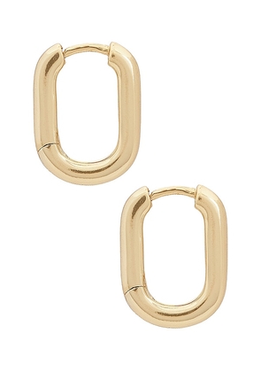 SHASHI Cosmo Huggie in Metallic Gold.