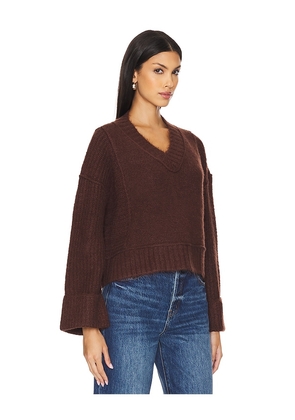 PISTOLA Joy Sweater in Brown. Size L. Also in M, XL.