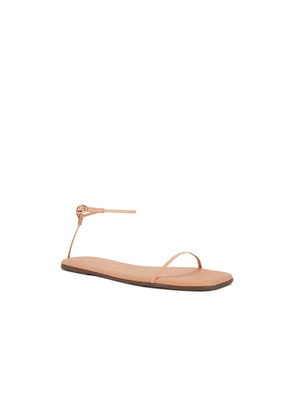 TKEES Square Toe Twiggy Sandal in Nude. Size 10. Also in 8, 9.