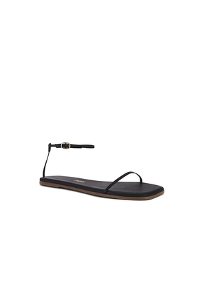 TKEES Square Toe Twiggy Sandal in Black. Size 10. Also in 11, 7, 8, 9.