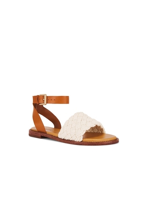 Schutz Isabel Flat Sandal in Brown. Size 10. Also in 6.5, 7.5, 8, 8.5, 9, 9.5.