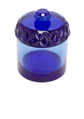 Houseplant Glass Stash Jar in Blue.