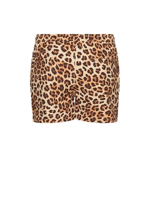 Runaway The Label Amalfi Boardshort in Leopard in Brown. Size L. Also in M, S.