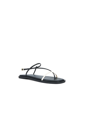 Kaanas Alayta Square Toe Sandal in Black. Size 10. Also in 6, 7, 8, 9.