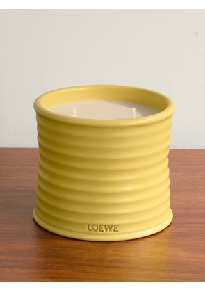 LOEWE Perfumes - Honeysuckle Medium Scented Candle, 610g - Men - Yellow